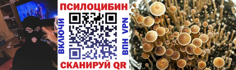 Галлюциногенные грибы ЛСД  купить закладку  Ворсма 